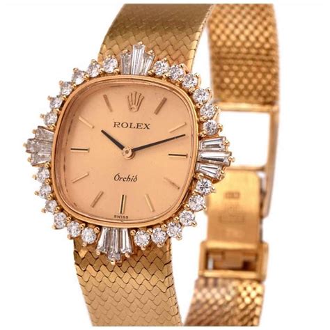 rolex orchid